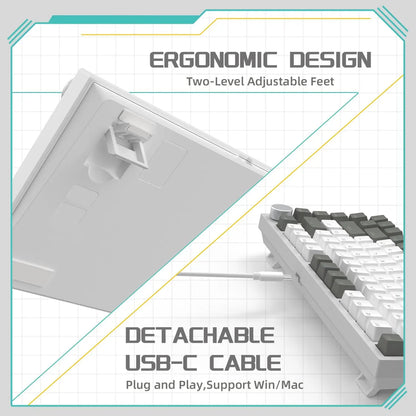 AJAZZ AK820: 75% Custom Hot-Swap & RGB